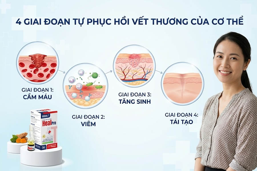 Giai đoạn tự phục hồi vết thương của cơ thể như thế nào?